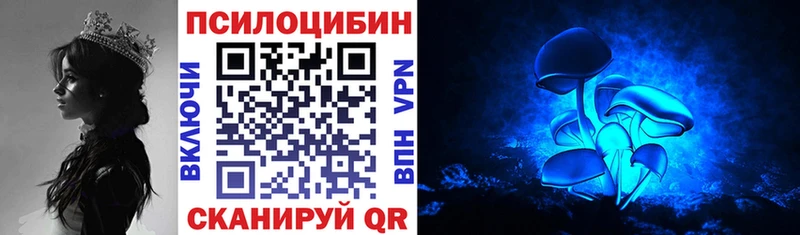 Псилоцибиновые грибы мицелий  Купить закладки  Торопец 